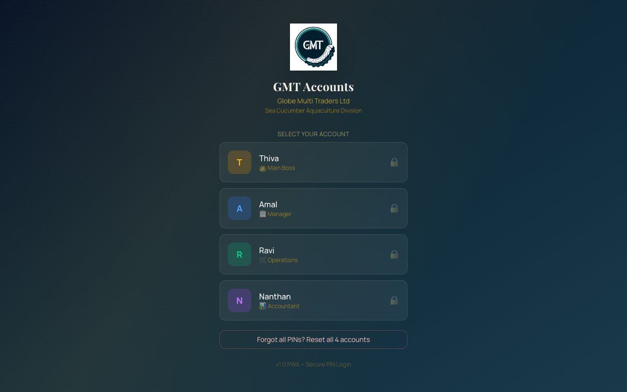 GMT Accounts — Globe Multi Traders desktop view