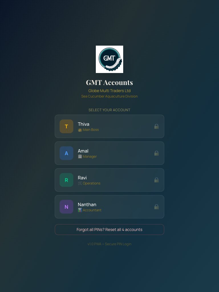 GMT Accounts — Globe Multi Traders tablet view